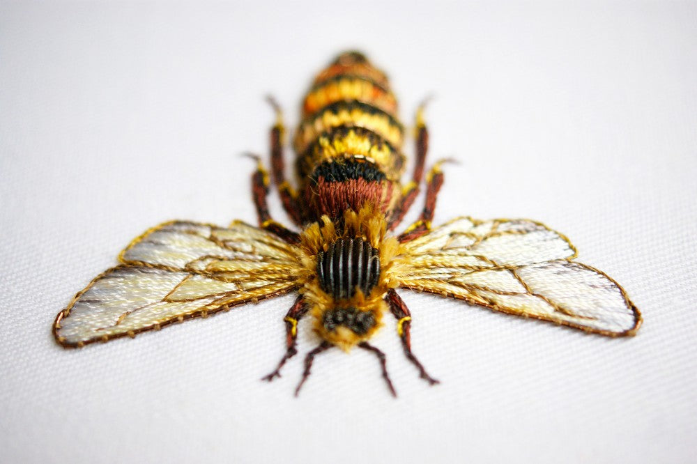 Stitches In Gold