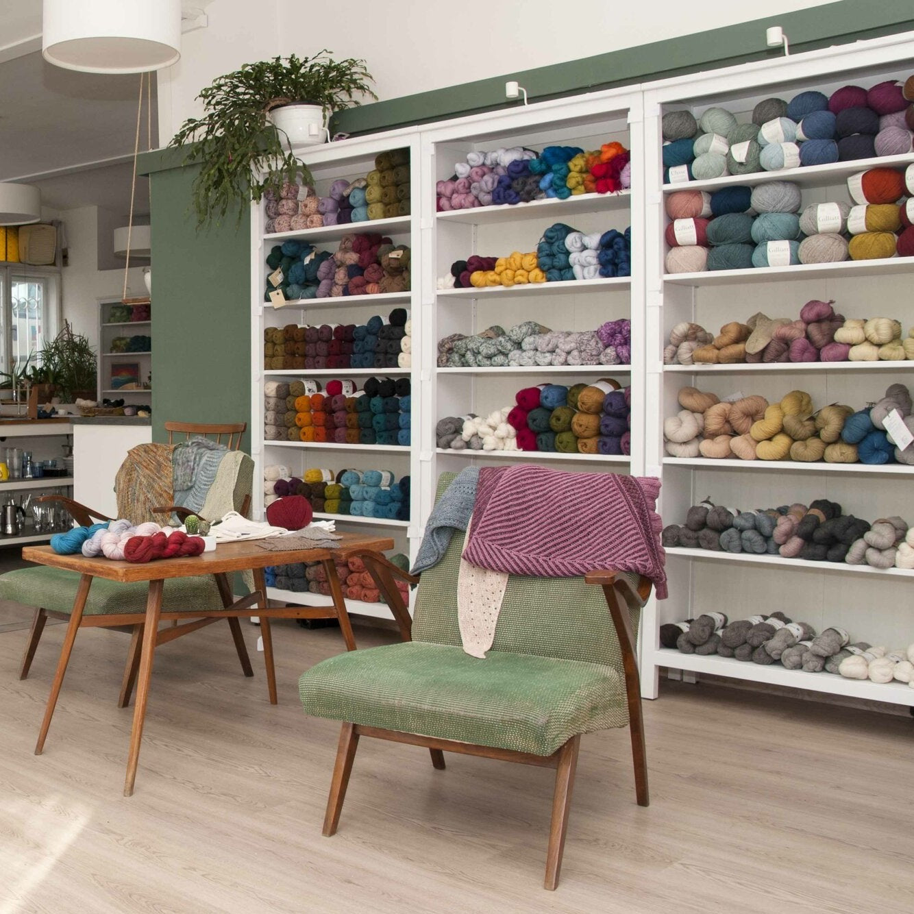 Austria, Vienna, Woll-Habitat