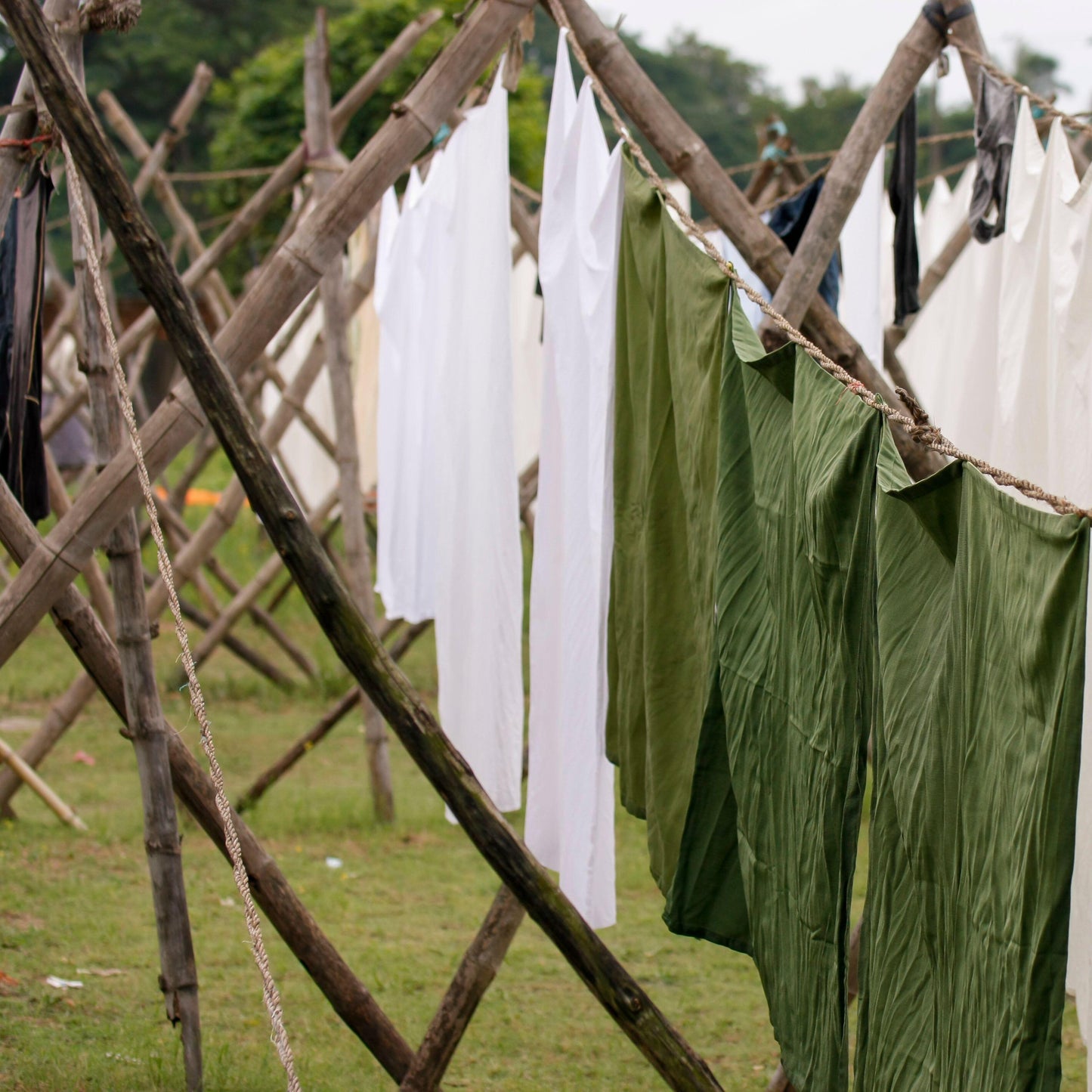Textile Tour, India, 2026
