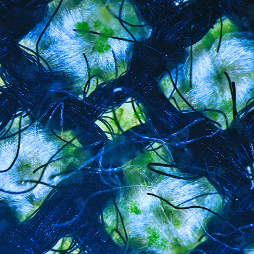 Friday 12 September - Tuesday 30 September, 9 - 5 pm: Exhibition, New Landscapes India