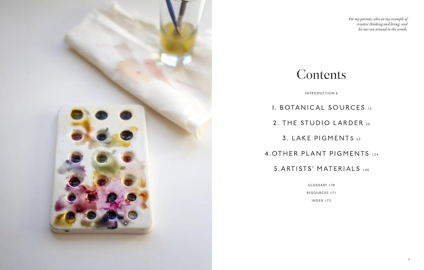 "PRE-ORDER" From Plant to Pigment, Natalie Stopka