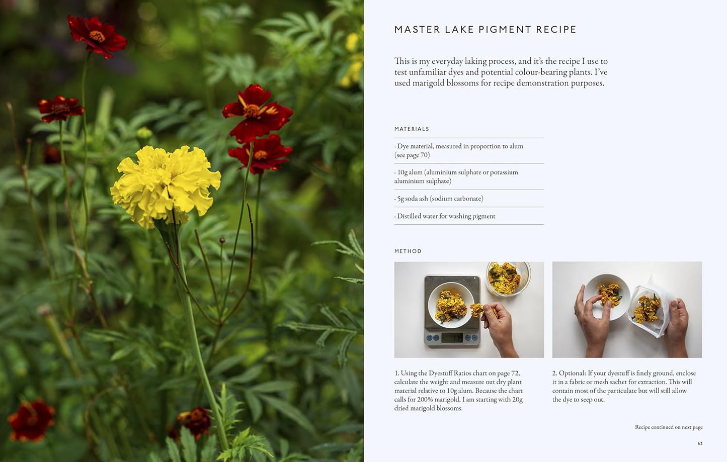 "PRE-ORDER" From Plant to Pigment, Natalie Stopka
