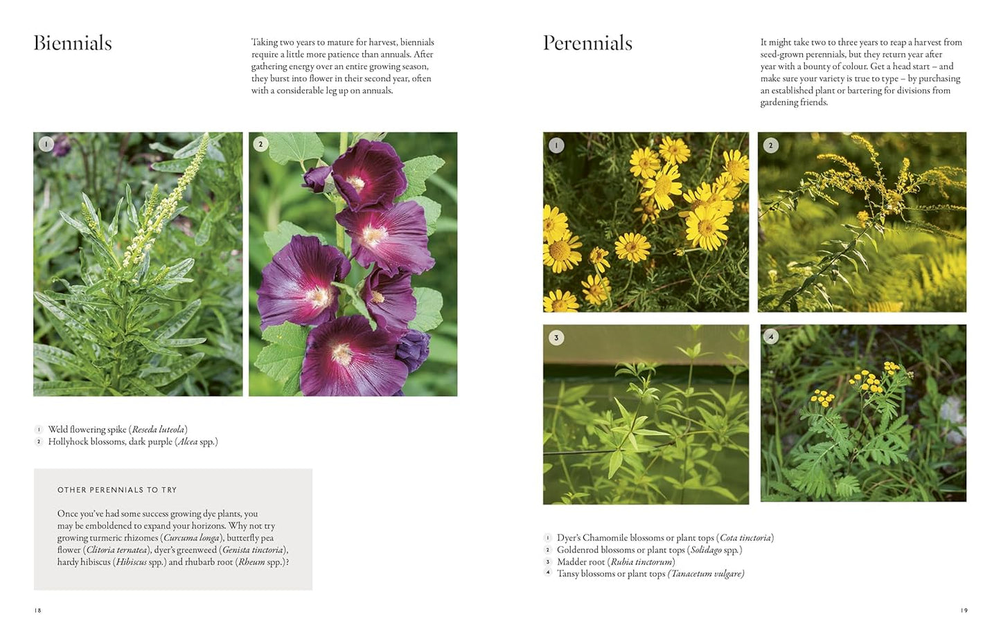 "PRE-ORDER" From Plant to Pigment, Natalie Stopka