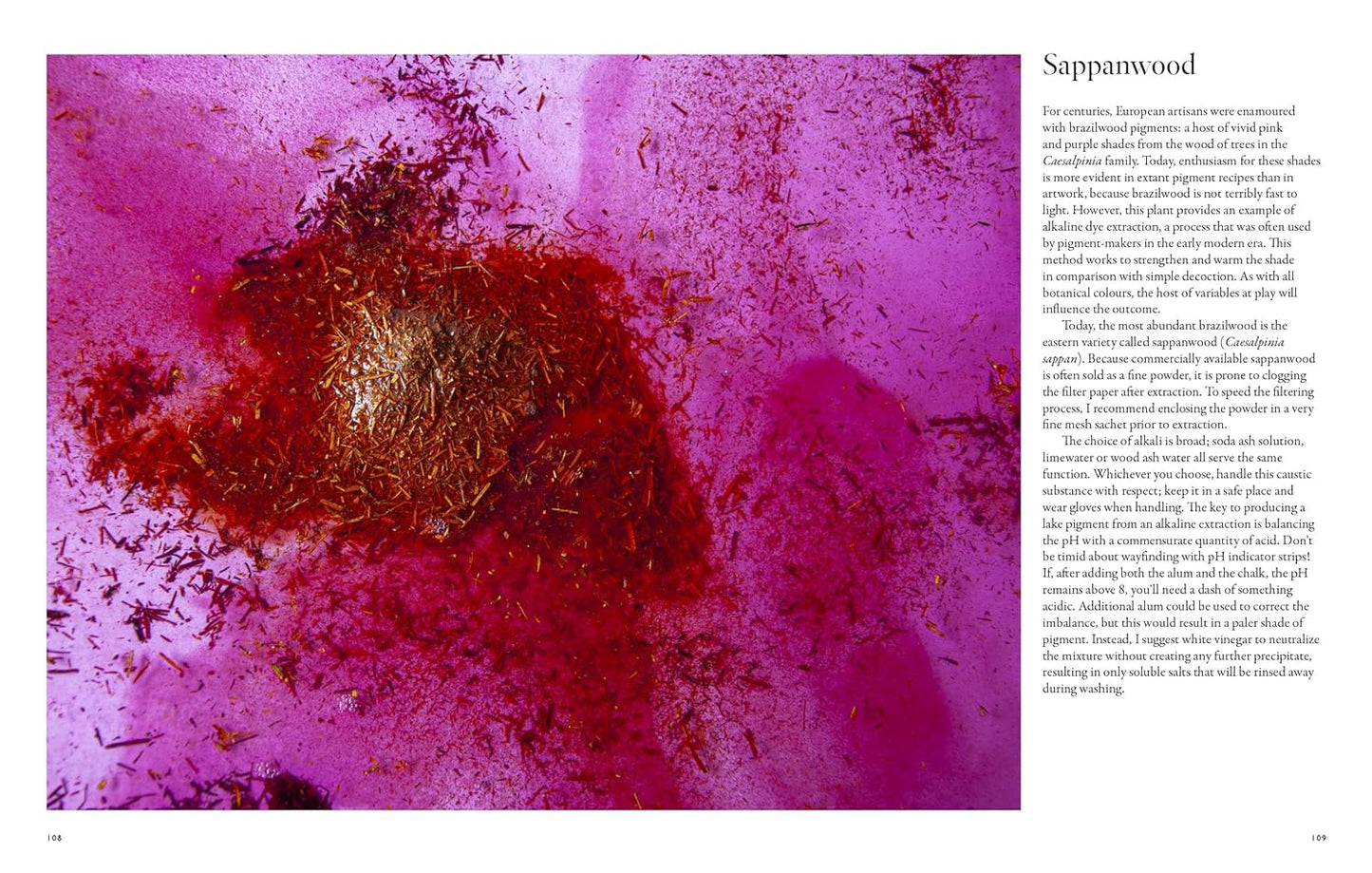 "PRE-ORDER" From Plant to Pigment, Natalie Stopka
