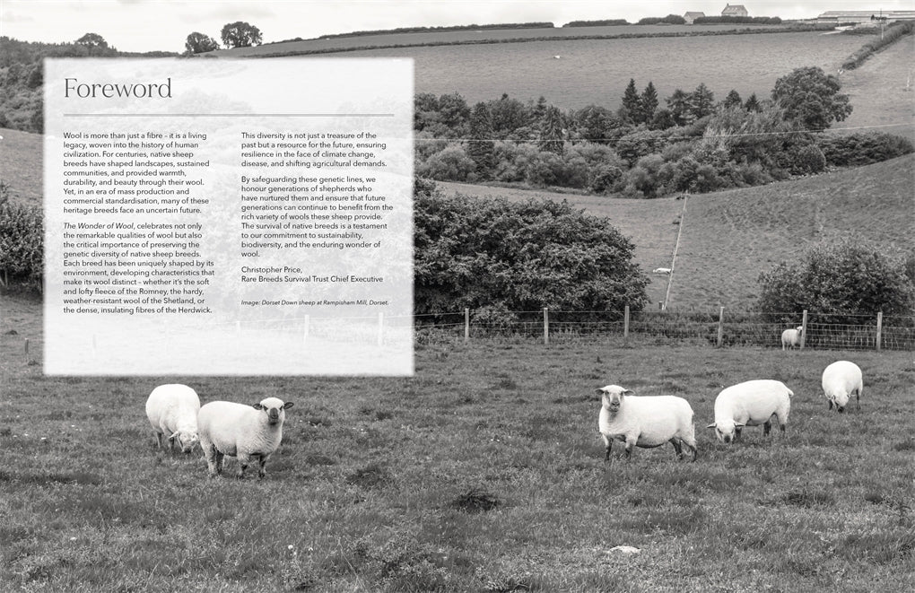 Wonder of Wool: A Knitter's Guide to Pure Breed Sheep, Justine Lee, Jess Morency