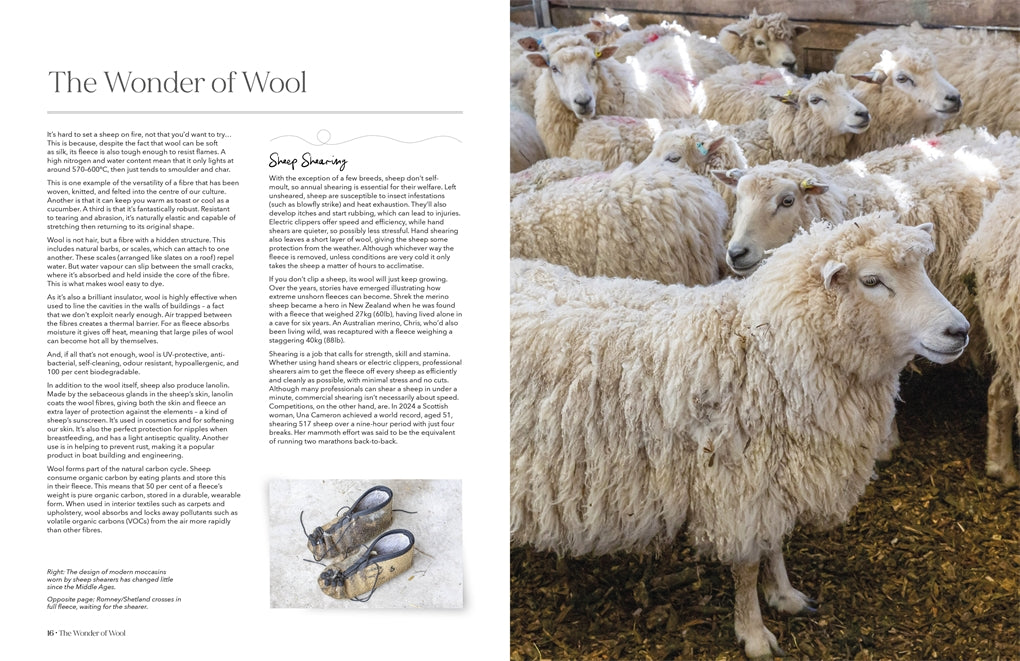 Wonder of Wool: A Knitter's Guide to Pure Breed Sheep, Justine Lee, Jess Morency