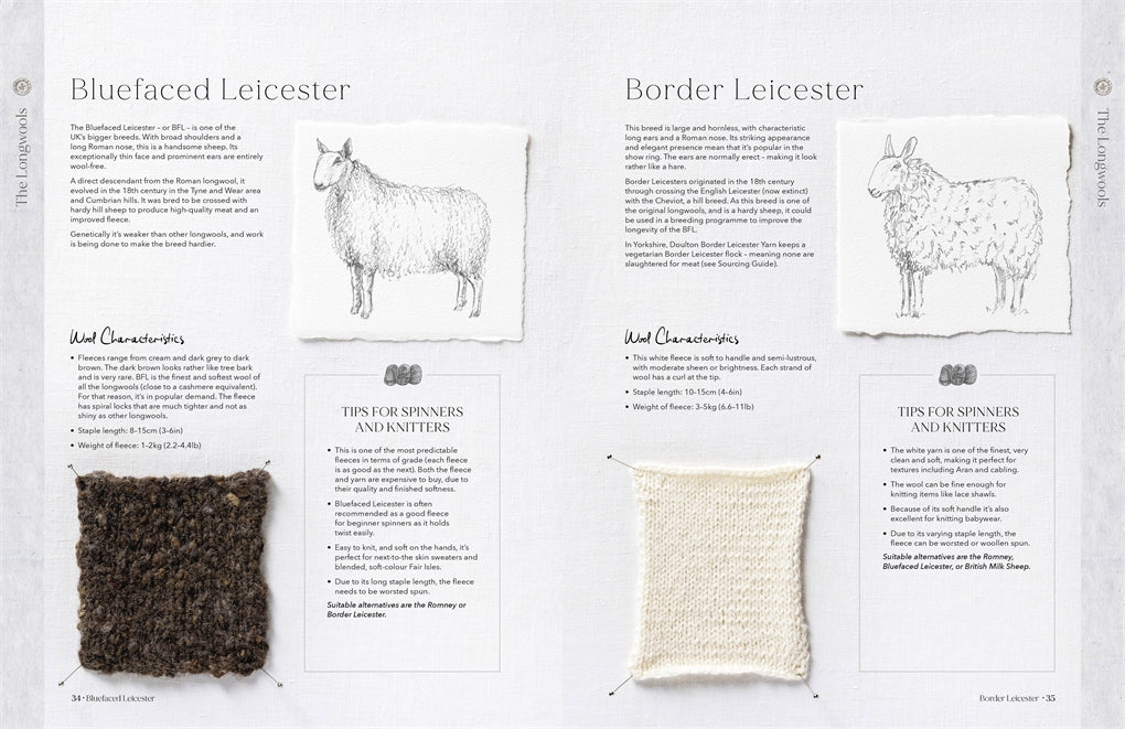 Wonder of Wool: A Knitter's Guide to Pure Breed Sheep, Justine Lee, Jess Morency