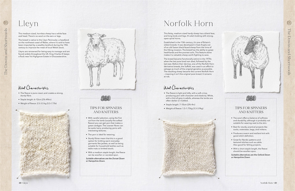 Wonder of Wool: A Knitter's Guide to Pure Breed Sheep, Justine Lee, Jess Morency