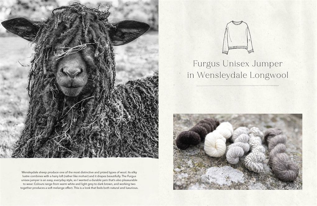 Wonder of Wool: A Knitter's Guide to Pure Breed Sheep, Justine Lee, Jess Morency