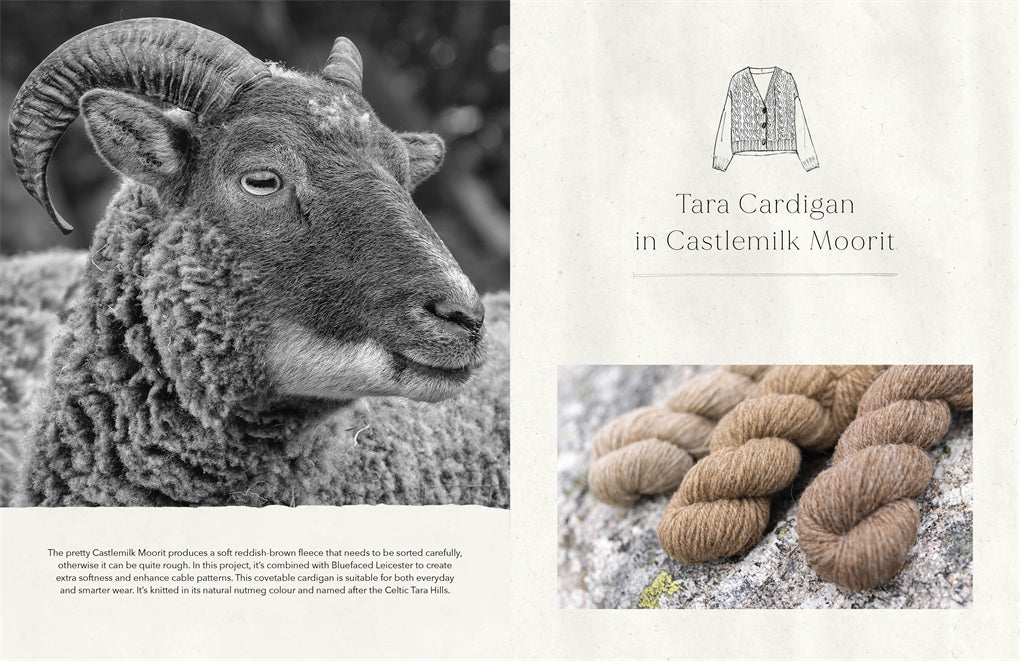 Wonder of Wool: A Knitter's Guide to Pure Breed Sheep, Justine Lee, Jess Morency