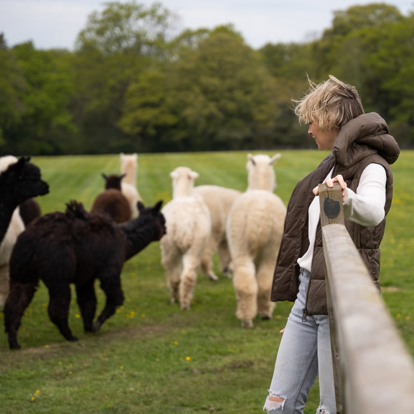 Claire Turner - Alpaca Apparel