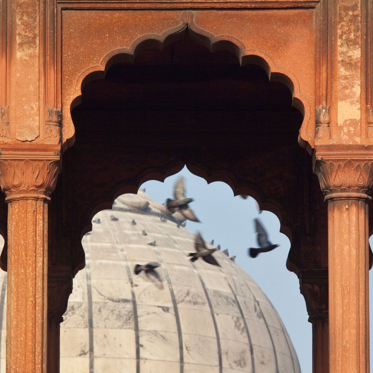 Textile Tour, India, 2025