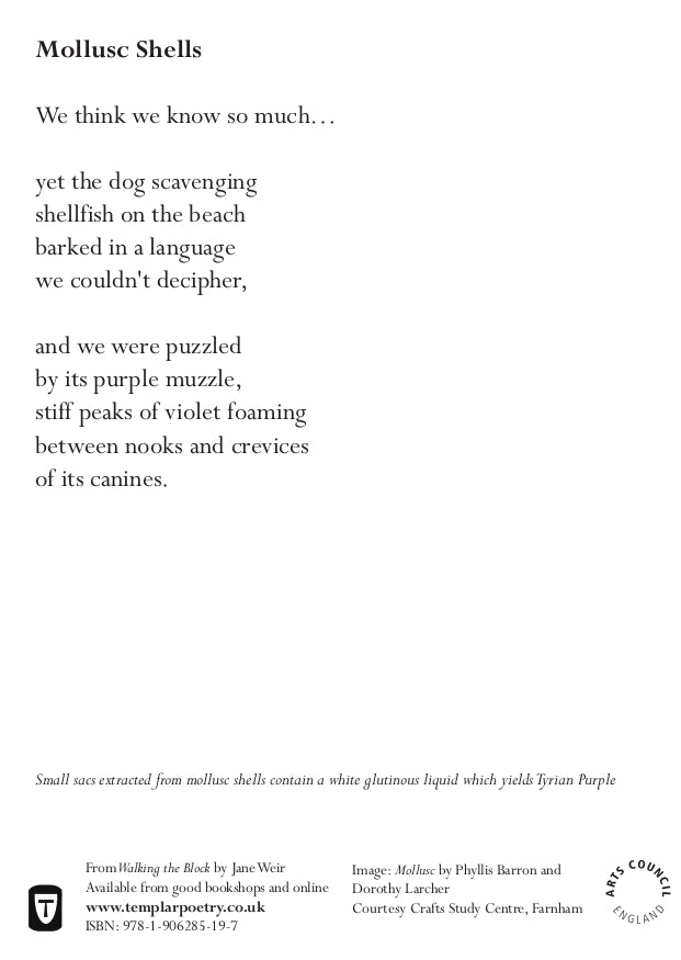 Walking the Block, Jane Weir