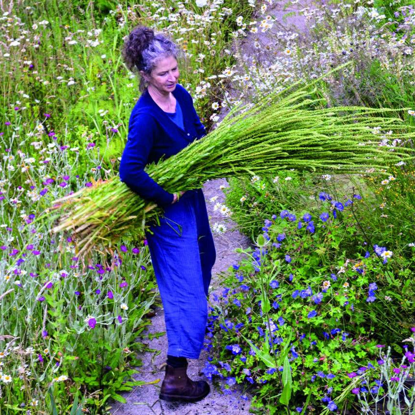 Thursday 18 September,  11-5 p.m.: Symposium: Crafting Regenerative Fashion and Textile Futures with Safia Minney