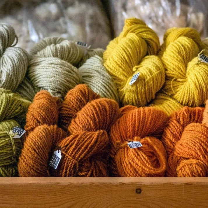 Wednesday 3 September, 6-7 p.m. (BST): Online Talk: Crafting with What the Land Offers with Shannon Nelson of Traceable Textiles