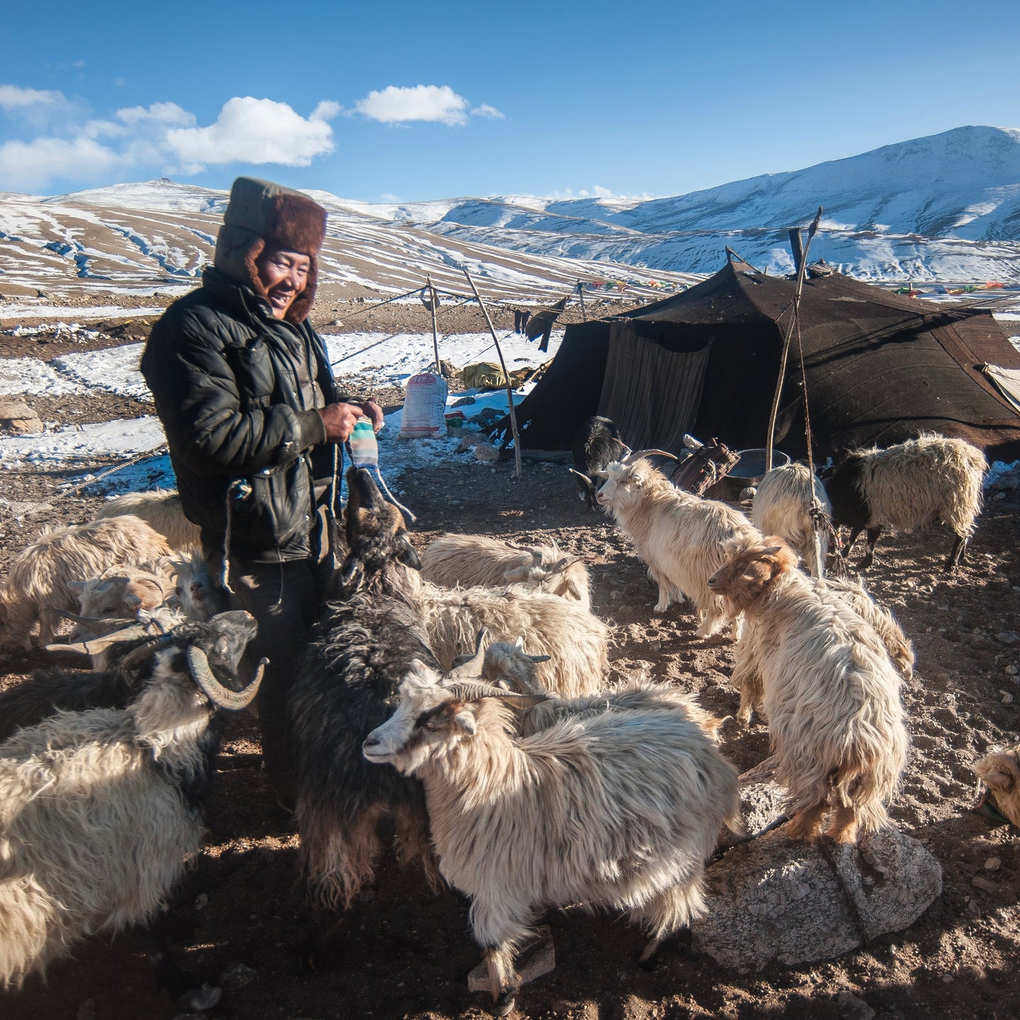 Monday 22 September, 10-5 p.m.: Symposium: Interwoven: Wool Across Borders with Khadi London