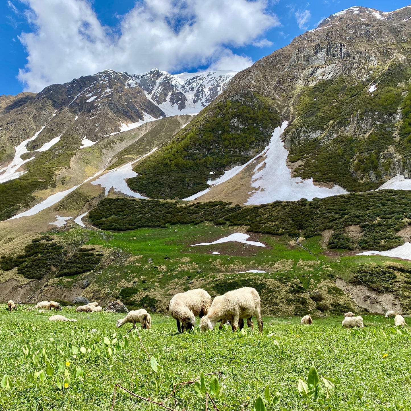 Monday 22 September, 10-5 p.m.: Symposium: Interwoven: Wool Across Borders with Khadi London