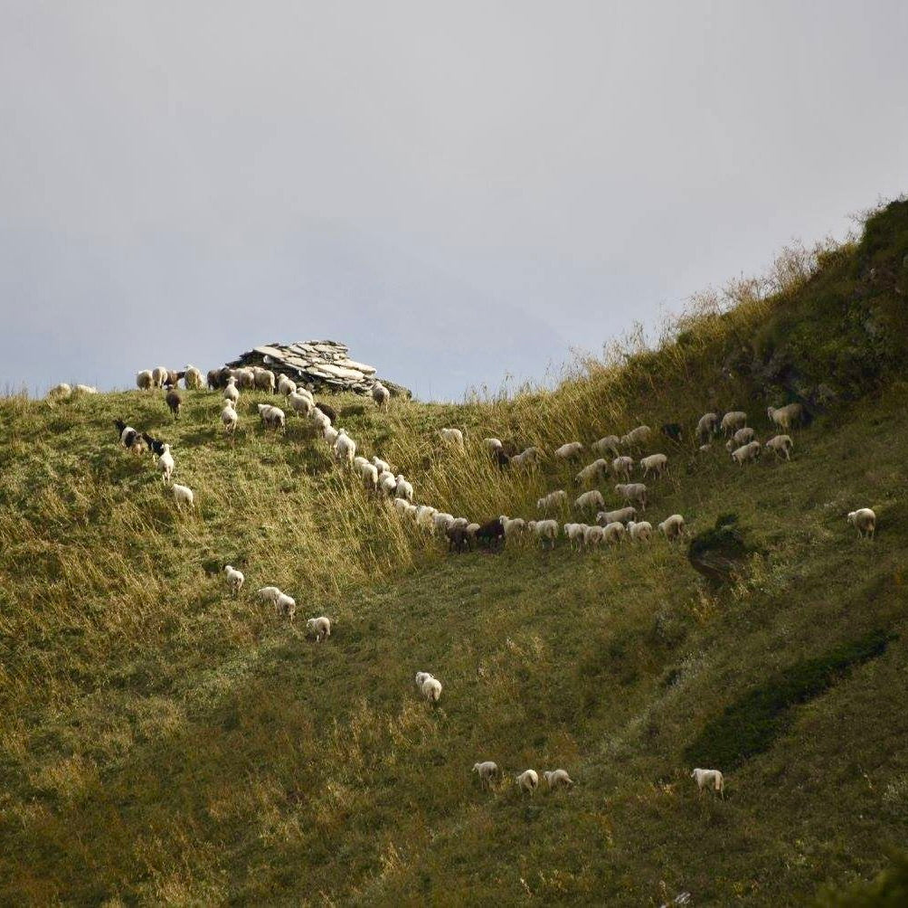 Monday 22 September, 10-5 p.m.: Symposium: Interwoven: Wool Across Borders with Khadi London