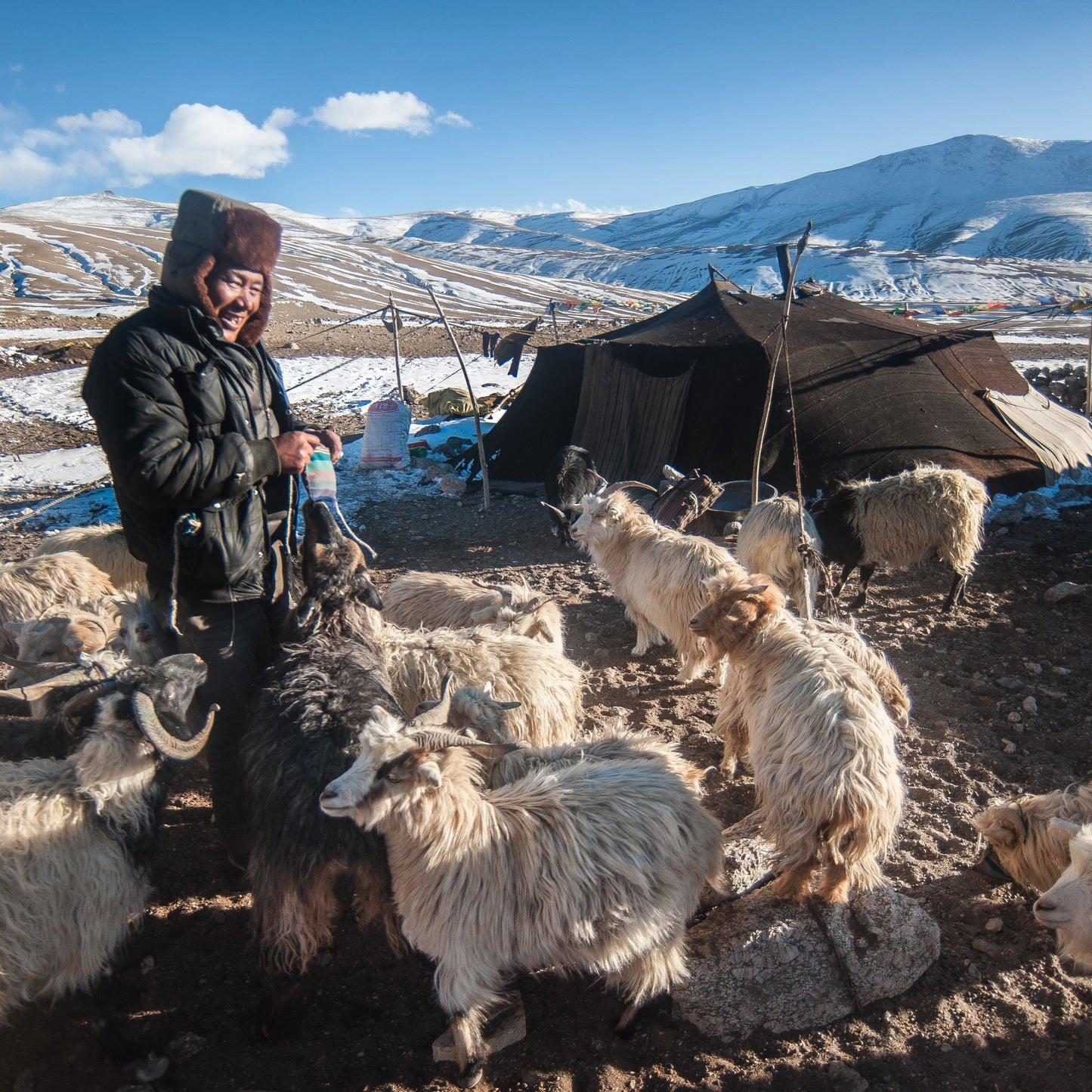 Friday 12 September-30 January, 9-5 p.m.: Exhibition: New Landscapes India