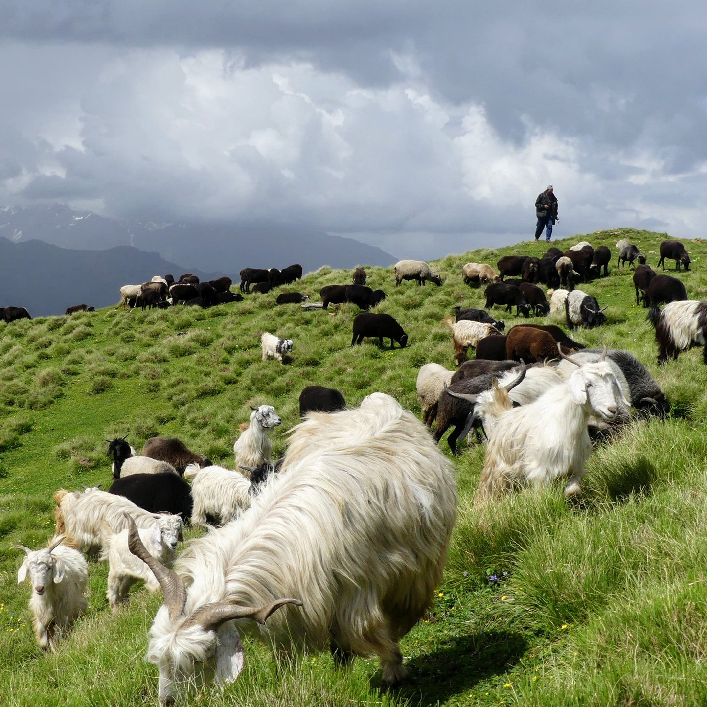 Friday 12 September-30 January, 9-5 p.m.: Exhibition: New Landscapes India