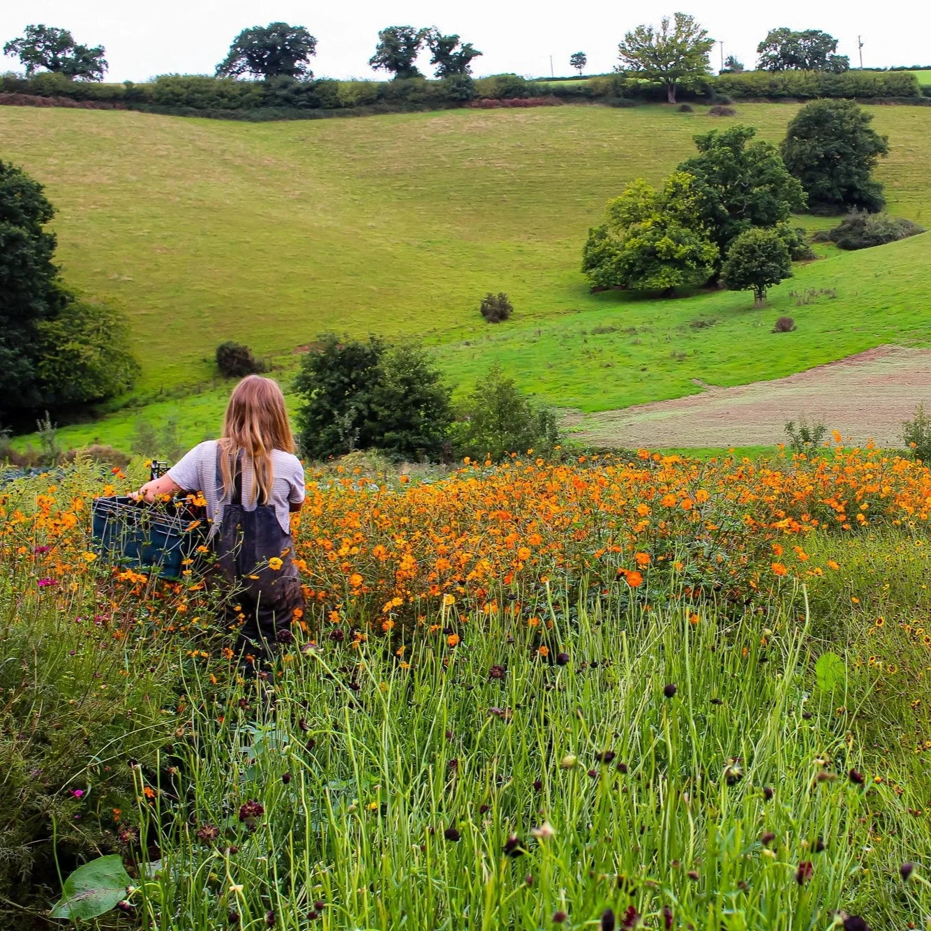 Thursday 18 September,  11-5 p.m.: Symposium: Crafting Regenerative Fashion and Textile Futures with Safia Minney