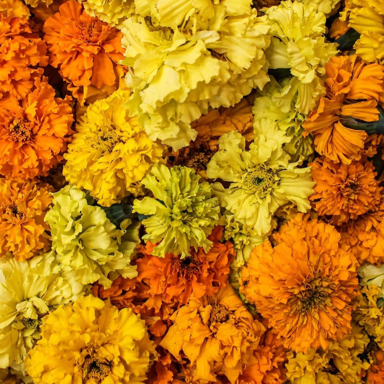 Thursday 18 September,  11-5 p.m.: Symposium: Crafting Regenerative Fashion and Textile Futures with Safia Minney