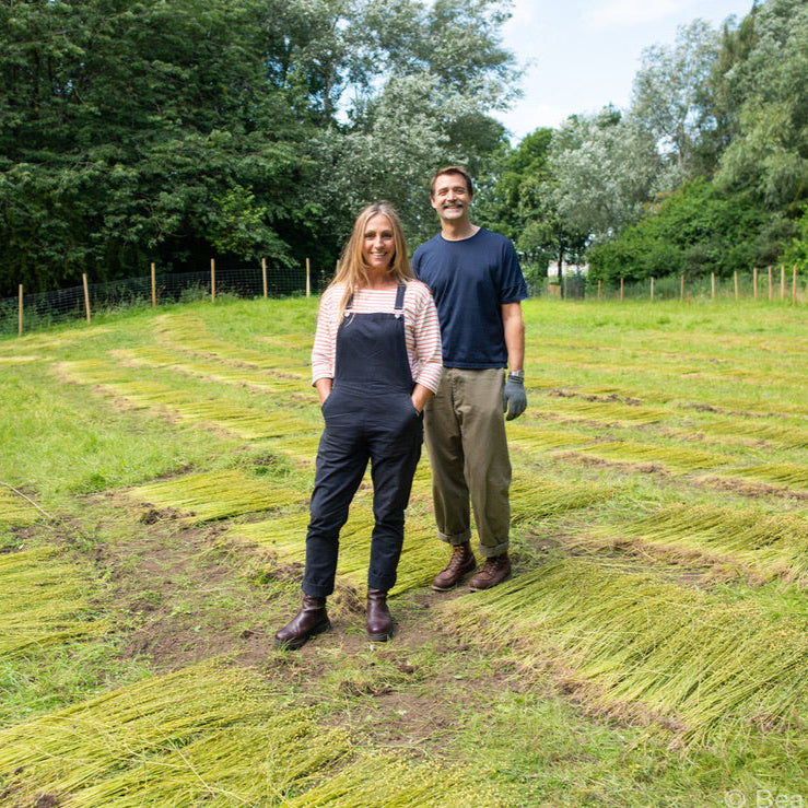 Saturday 6 September, 3.30-5 p.m.: Screening & Q&A: Woman Grows Jeans with Justine Aldersey-Williams of Northern England Fibreshed