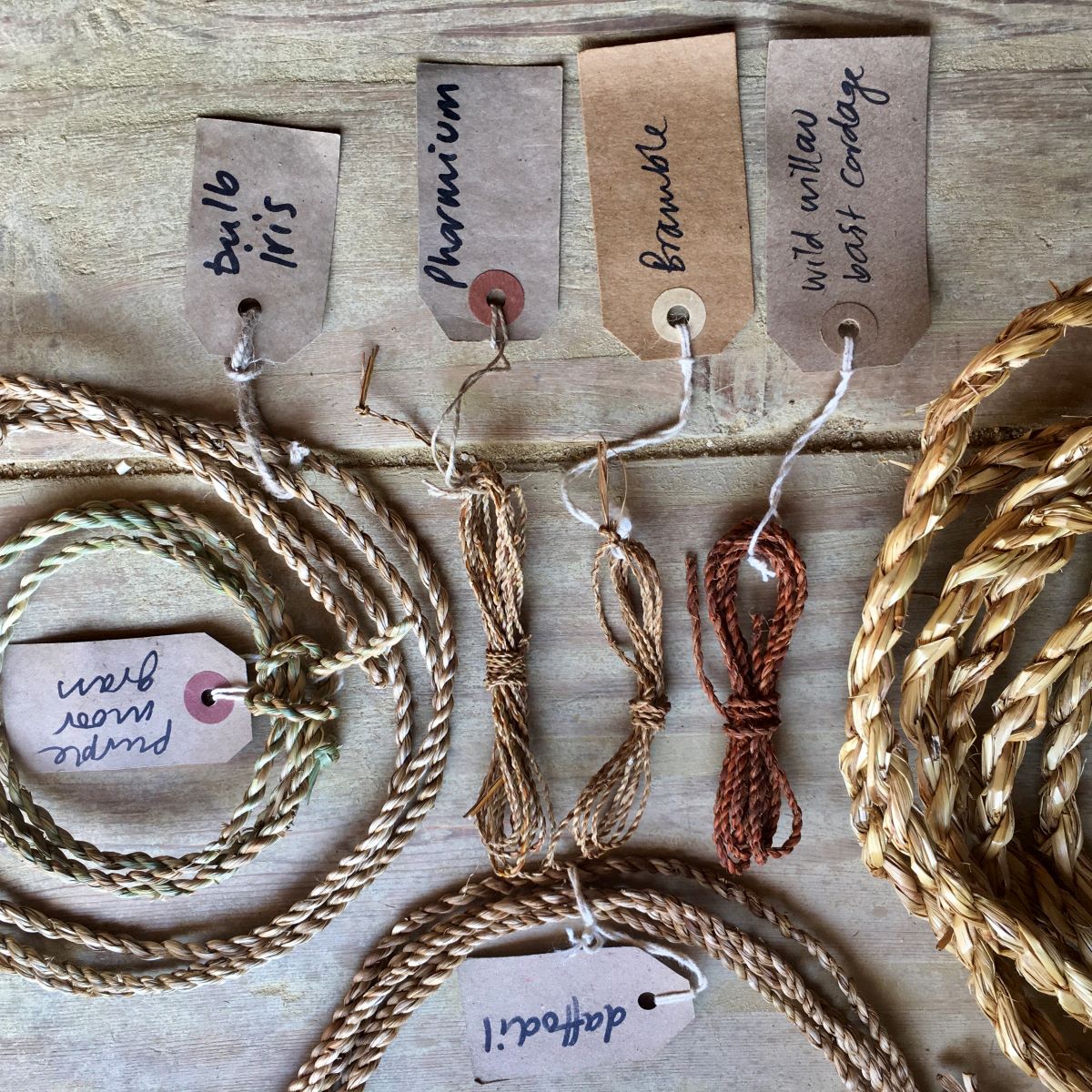 Saturday 1 & Sunday 2 March 2025, Wild Cordage with Ruby Taylor