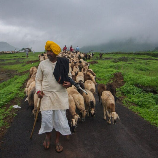 Friday 12 September-30 January, 9-5 p.m.: Exhibition: New Landscapes India