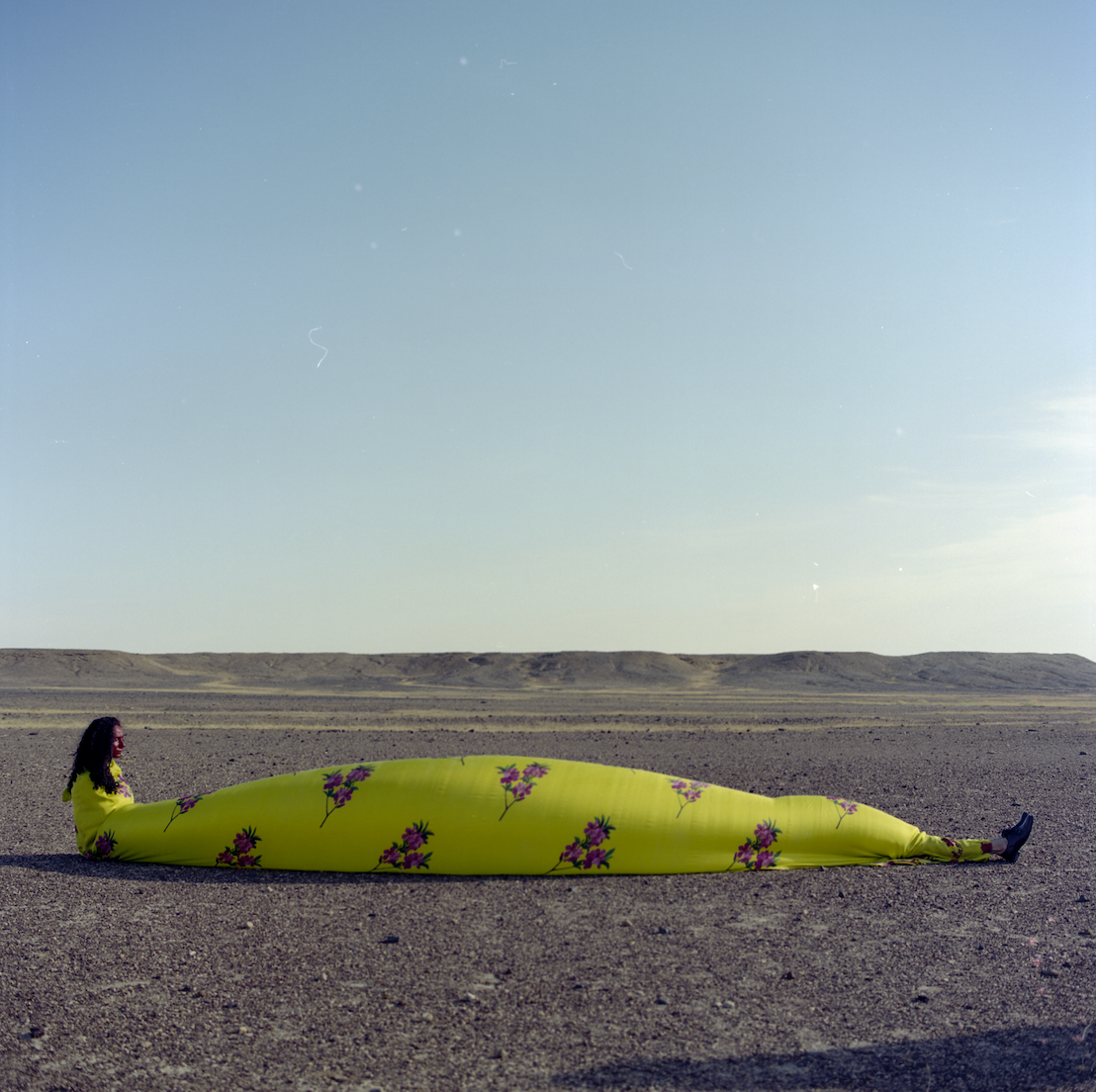 Issue 114 Regeneration