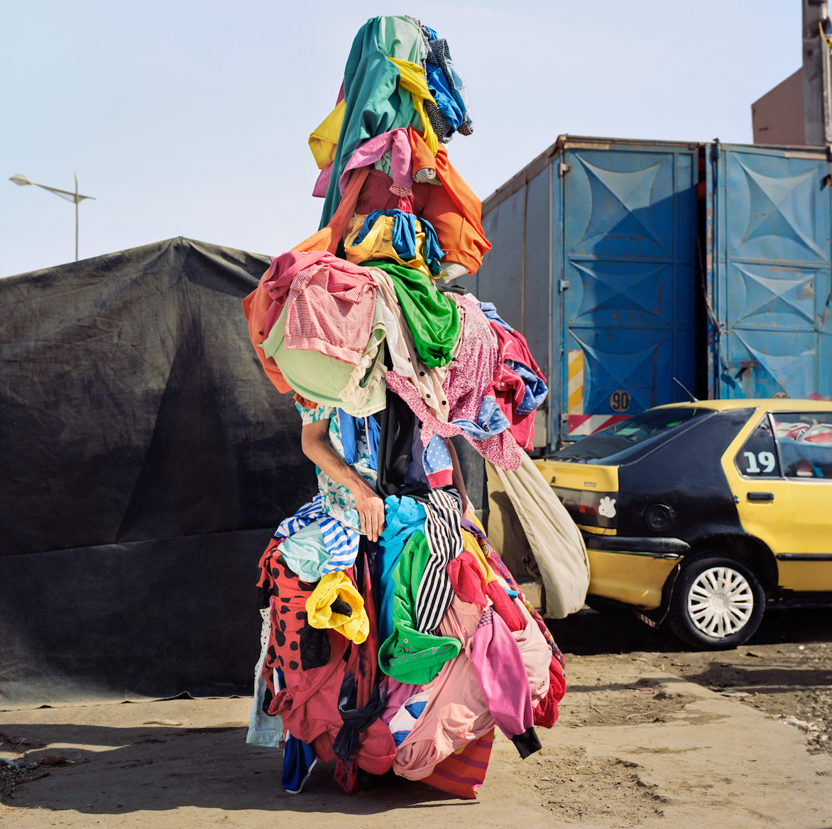 Issue 114 Regeneration