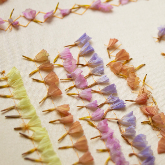 Sunday 21 June & 28 June 2026, 2 - 5pm BST: Stitching with Nature with Katerina Knight