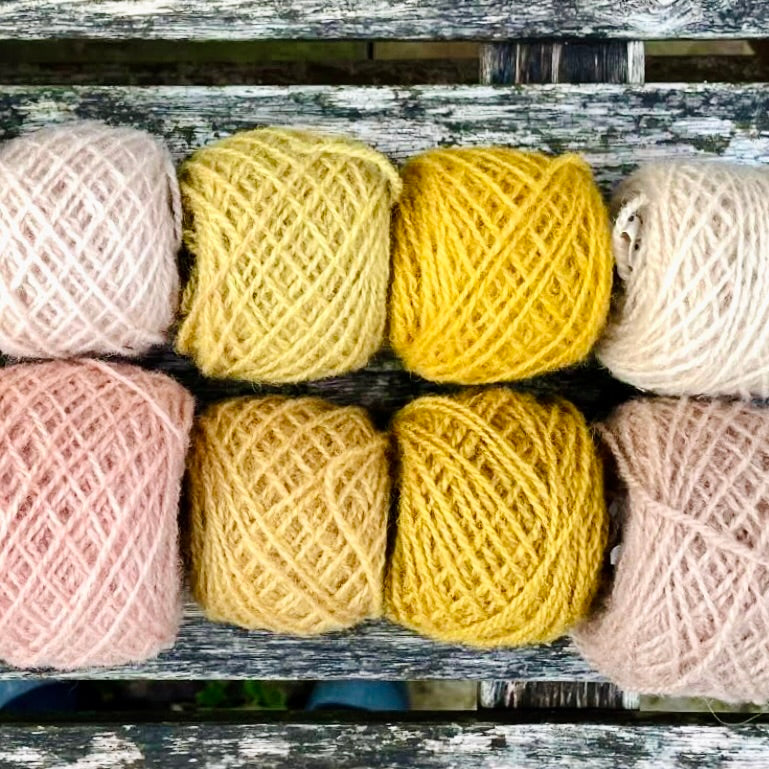 Wednesday 10 September, 10-4 p.m.: Workshop: Creating Vibrant Colour with Natural Dyes with Liz Baltesz