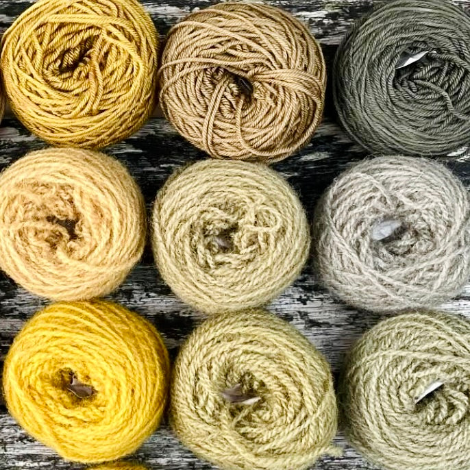 Wednesday 10 September, 10-4 p.m.: Workshop: Creating Vibrant Colour with Natural Dyes with Liz Baltesz