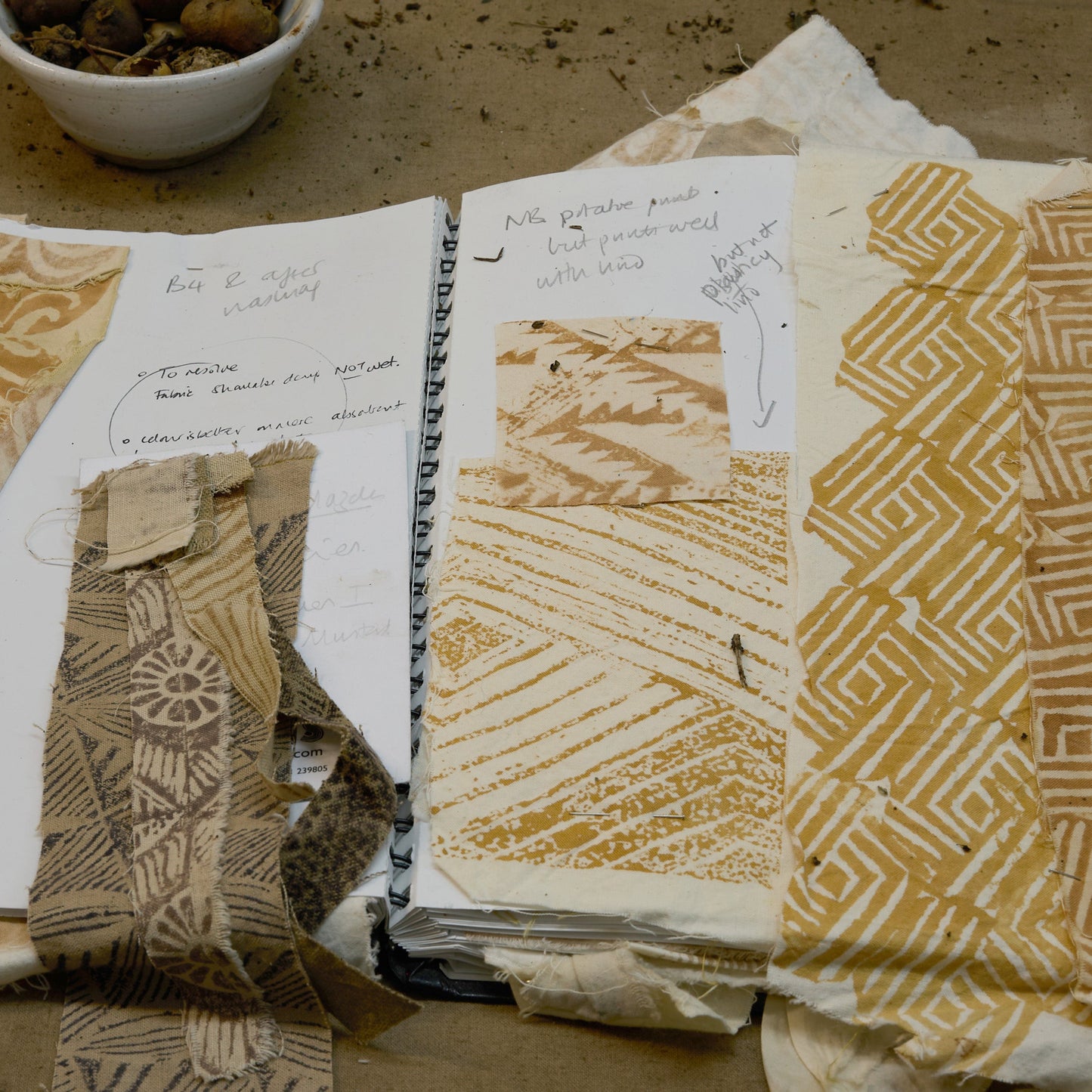 Wednesday 3 September 10-4 p.m.: Workshop: Foraging, Natural Dye and Mordant Printing with Sarah Burns