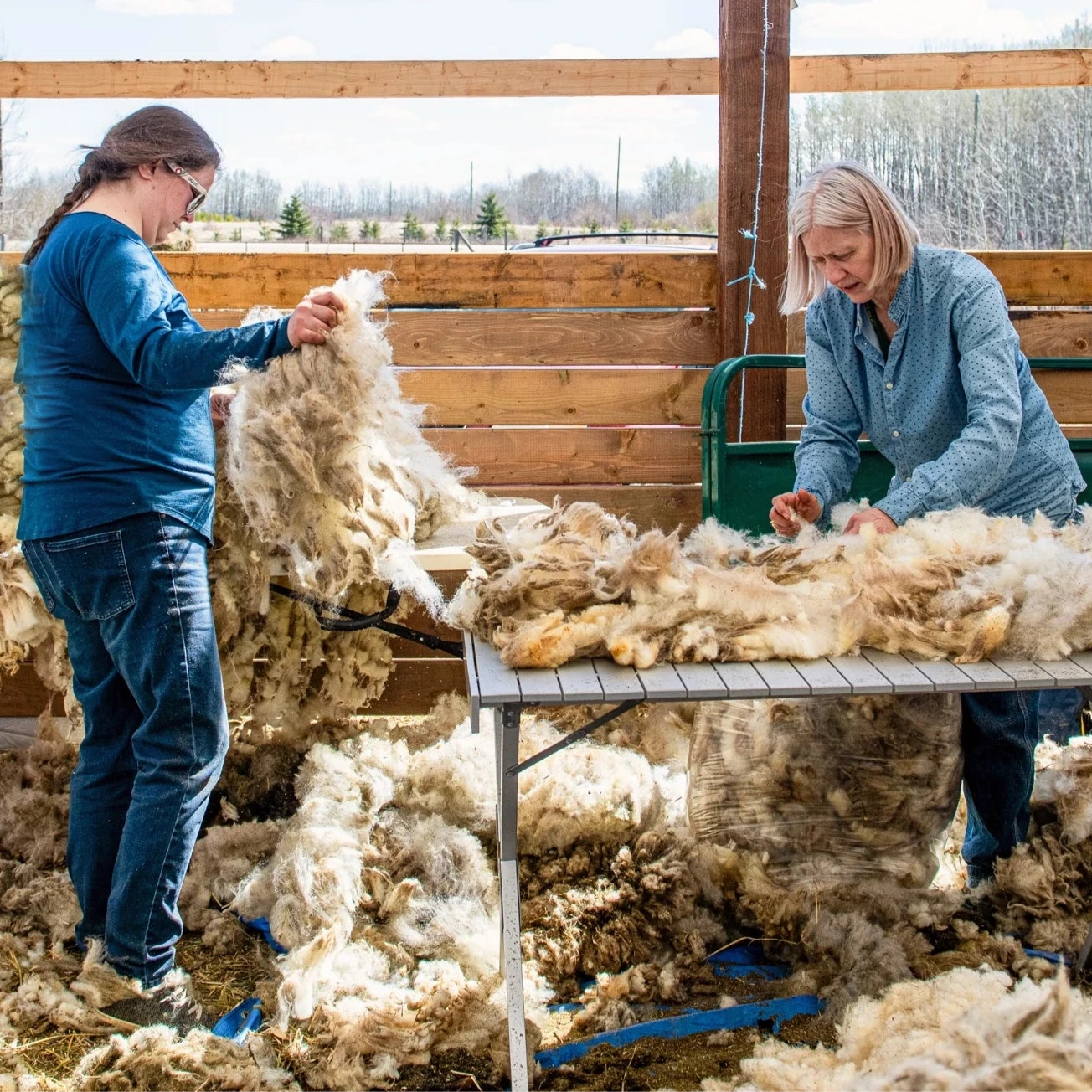 Wednesday 3 September, 6-7 p.m. (BST): Online Talk: Crafting with What the Land Offers with Shannon Nelson of Traceable Textiles