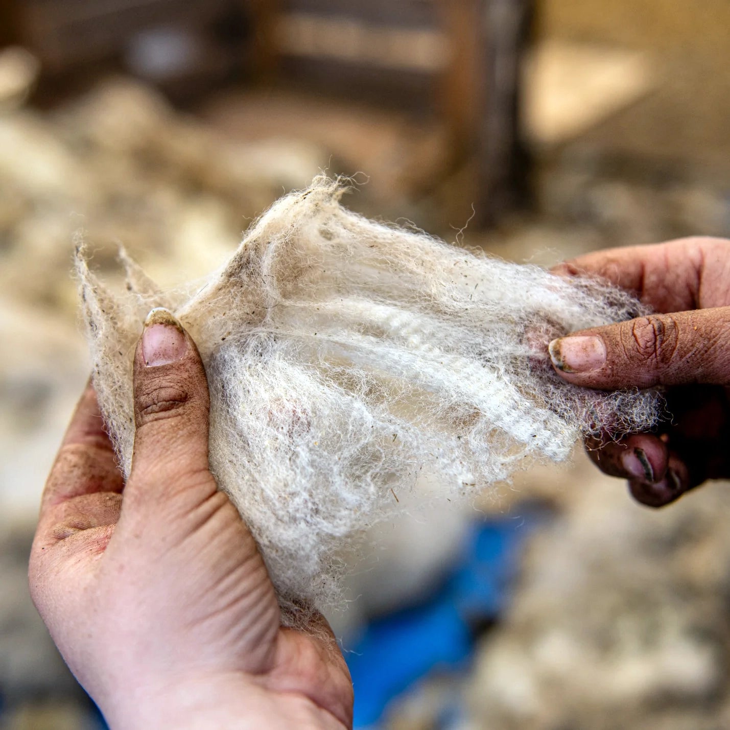 Wednesday 3 September, 6-7 p.m. (BST): Online Talk: Crafting with What the Land Offers with Shannon Nelson of Traceable Textiles