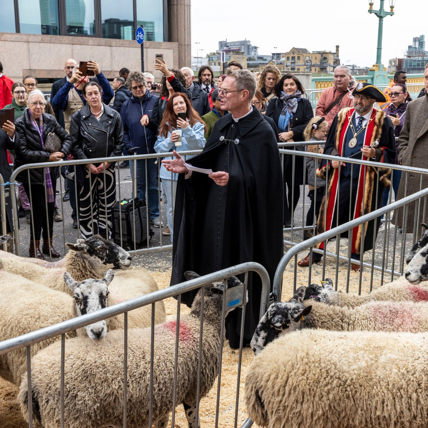 Sunday 28 September, 10-4 p.m.: Sheep Drive, The Woolmen Sheep Drive and Livery Fair