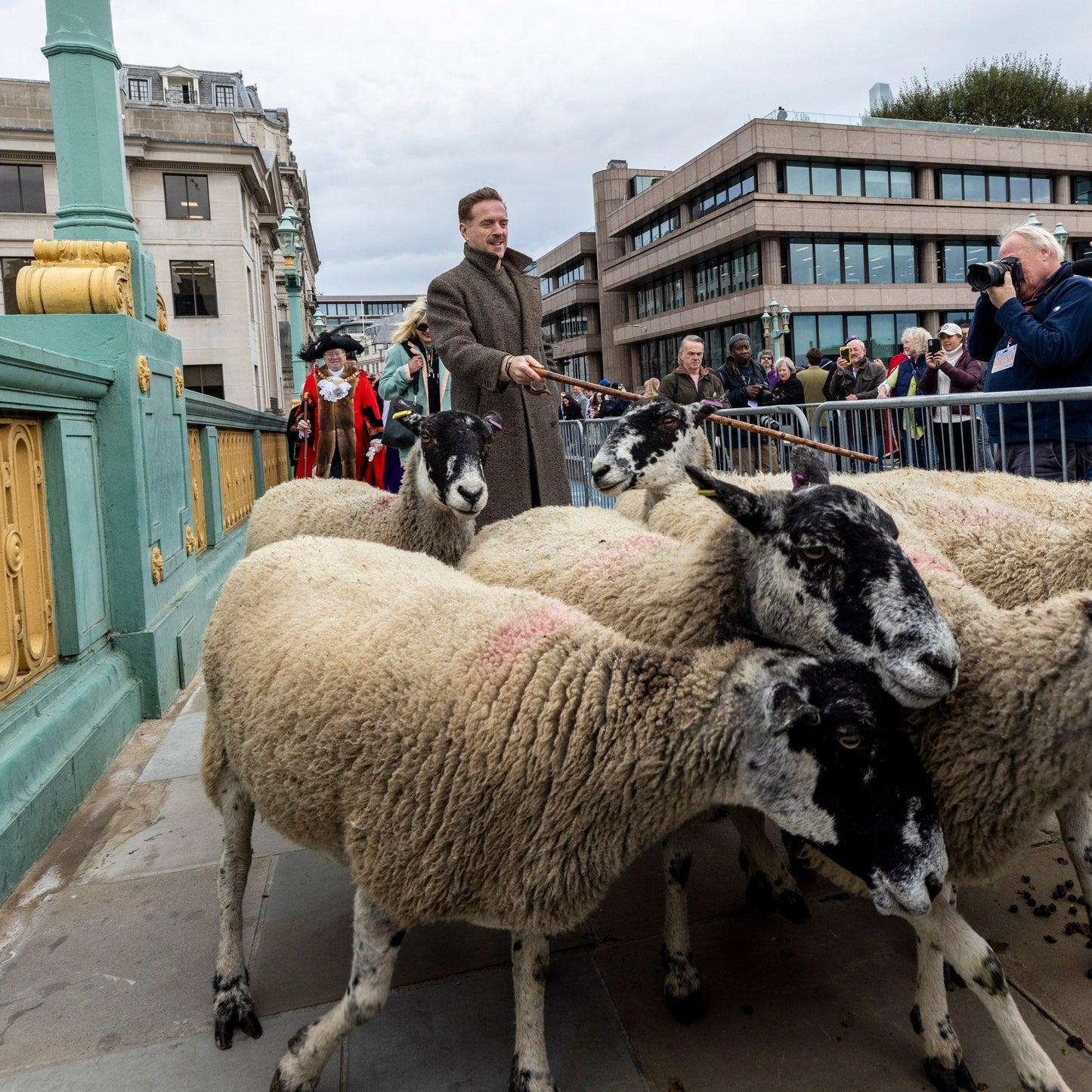 Sunday 28 September, 10-4 p.m.: Sheep Drive, The Woolmen Sheep Drive and Livery Fair