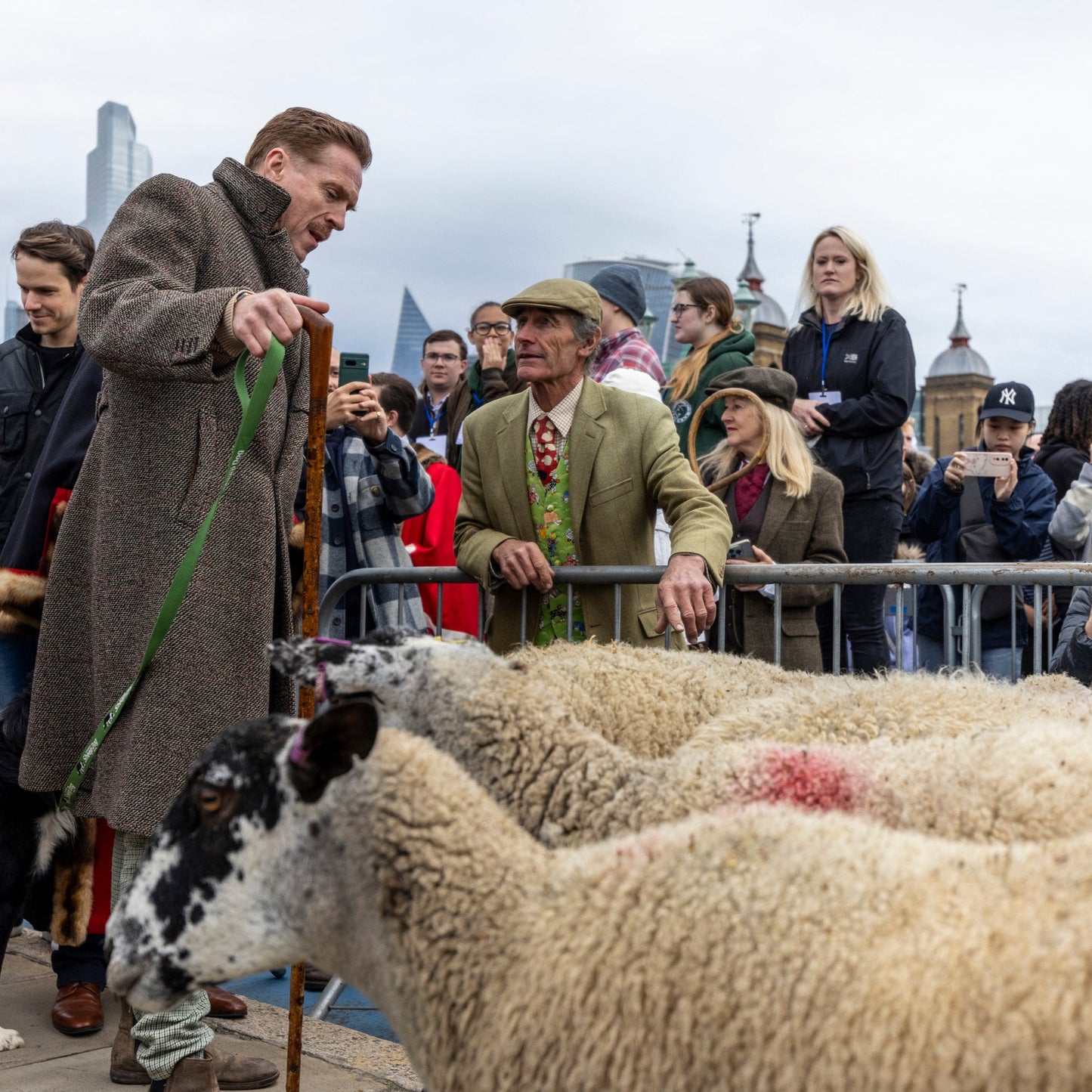 Sunday 28 September, 10-4 p.m.: Sheep Drive, The Woolmen Sheep Drive and Livery Fair