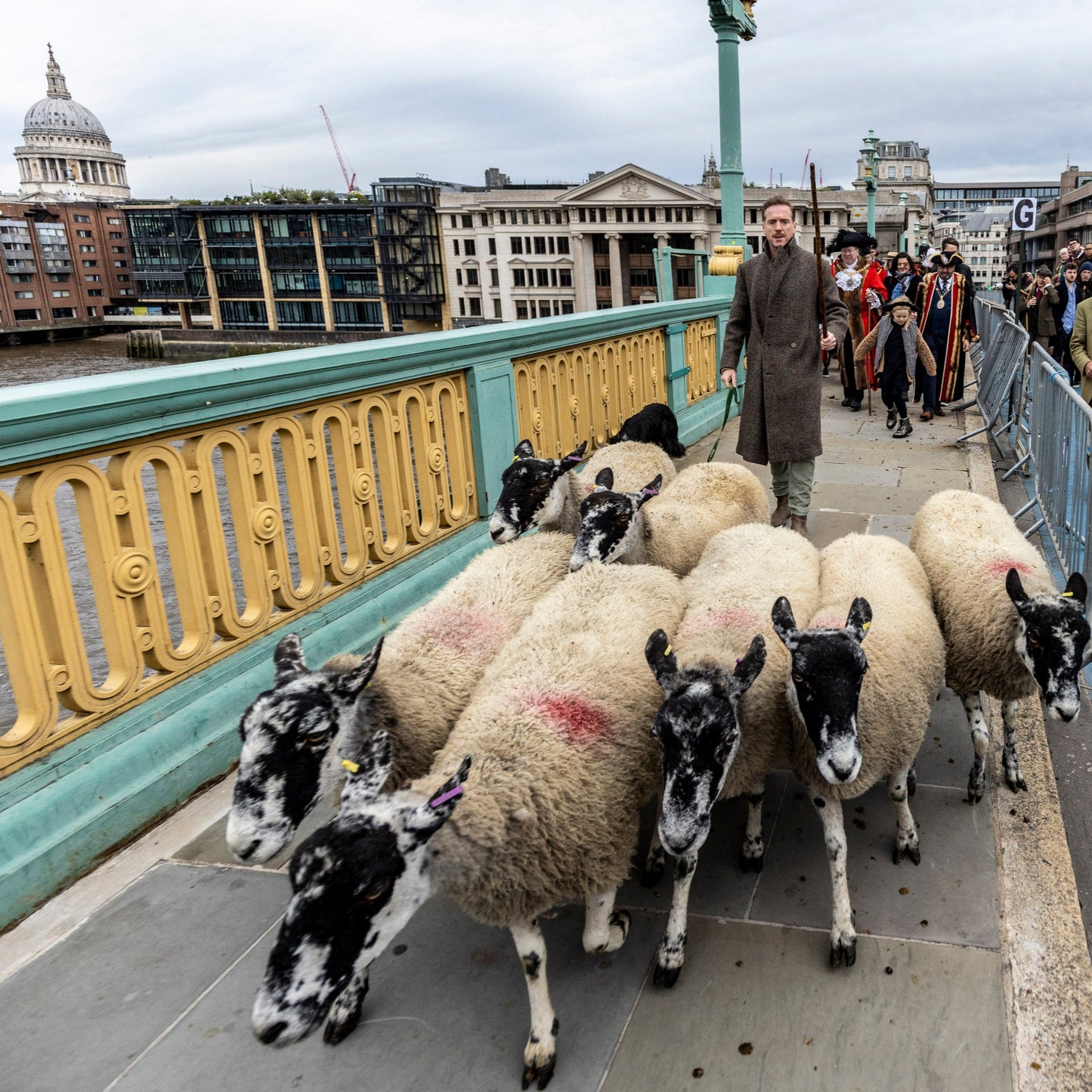 Sunday 28 September, 10-4 p.m.: Sheep Drive, The Woolmen Sheep Drive and Livery Fair