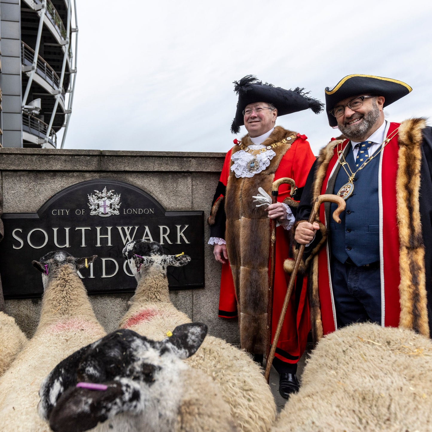 Sunday 28 September, 10-4 p.m.: Sheep Drive, The Woolmen Sheep Drive and Livery Fair