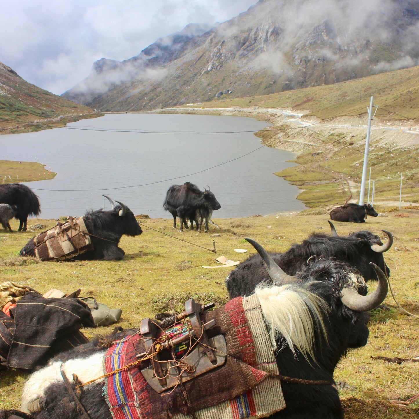 Monday 22 September, 10-5 p.m.: Symposium: Interwoven: Wool Across Borders with Khadi London