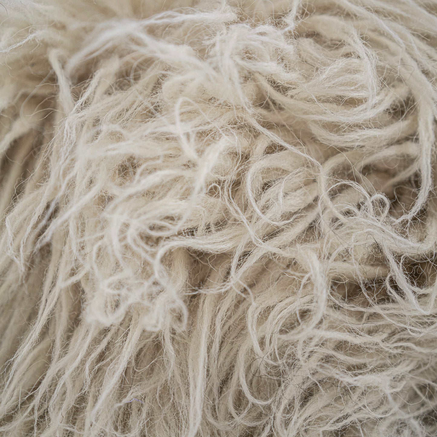 Ukraine, Gushka, Shaggy Bench (Cream) (UK)