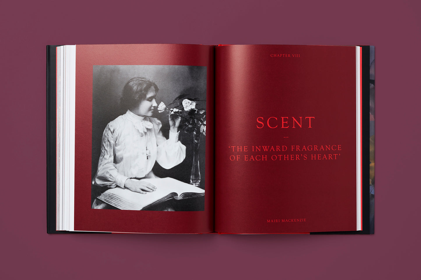 The Rose in Fashion: Ravishing, Amy de la Haye