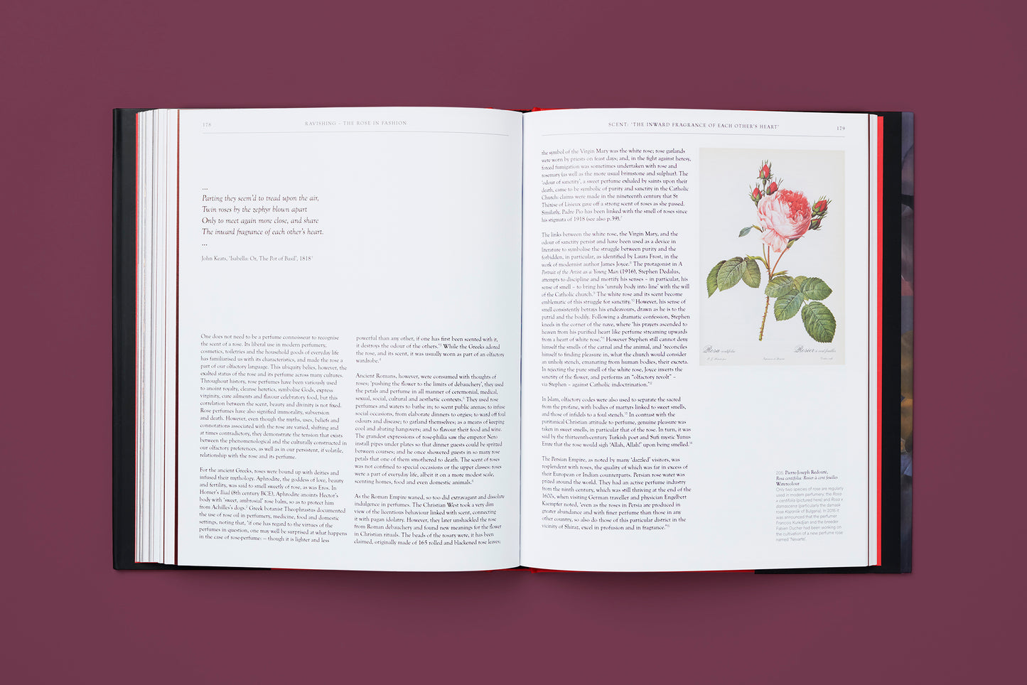 The Rose in Fashion: Ravishing, Amy de la Haye