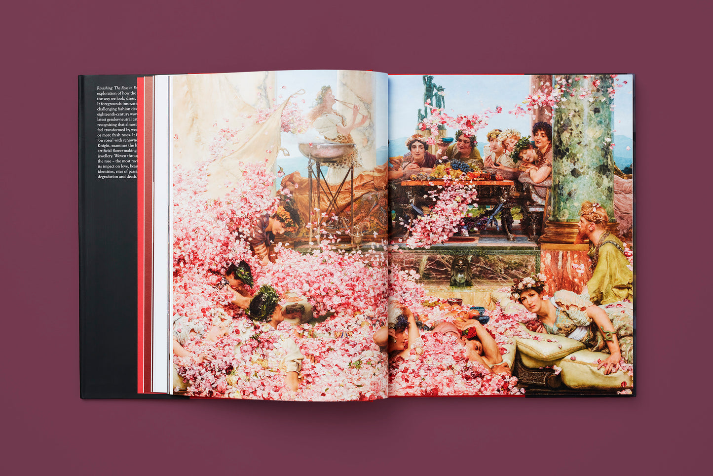 The Rose in Fashion: Ravishing, Amy de la Haye