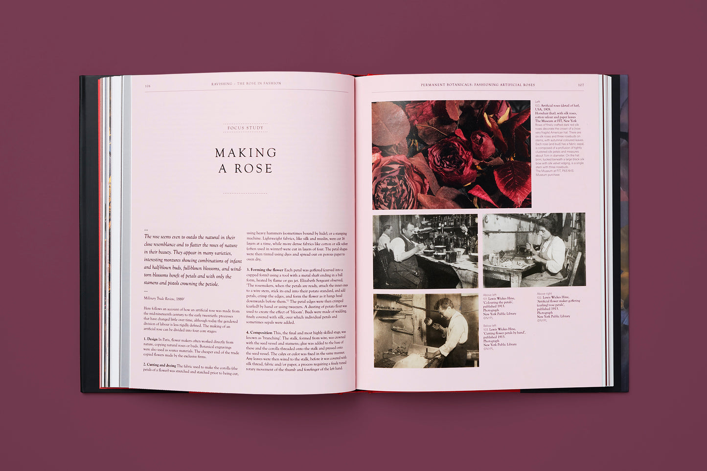 The Rose in Fashion: Ravishing, Amy de la Haye