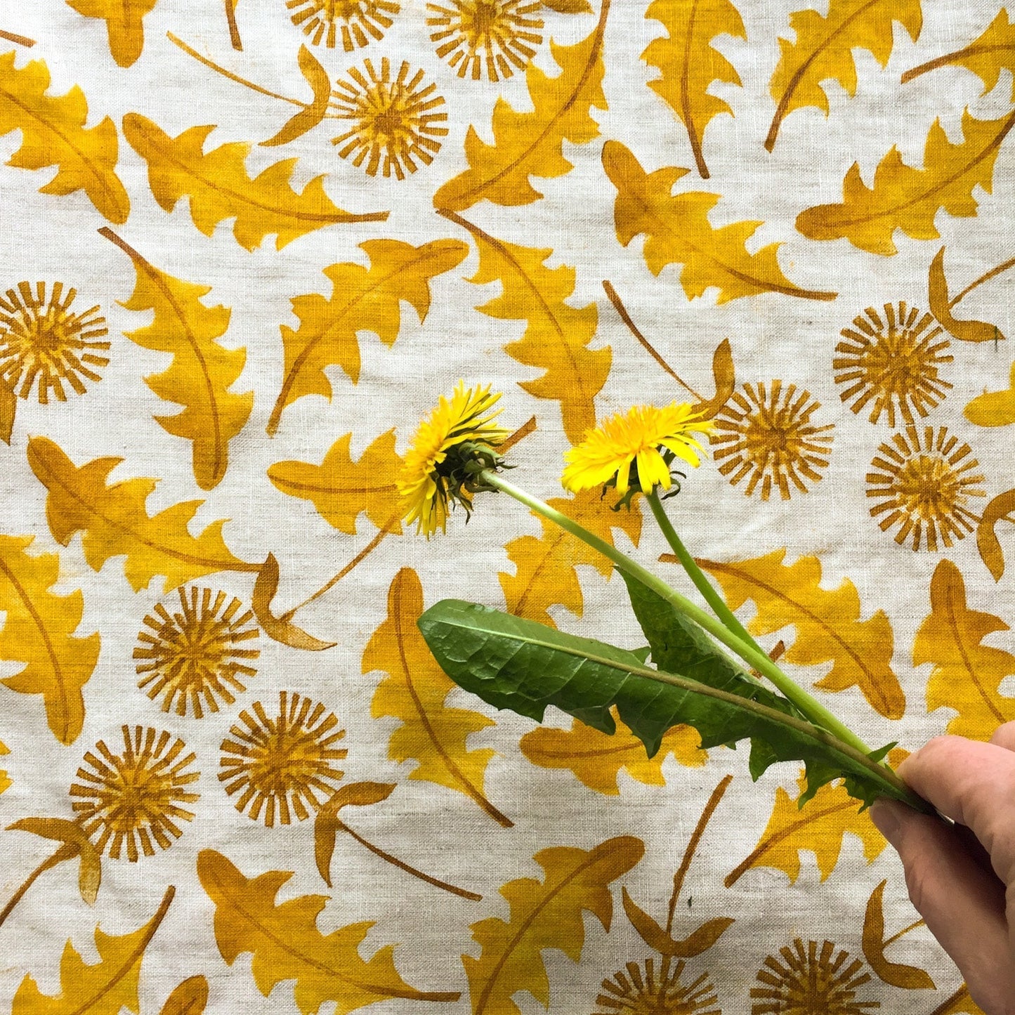 Saturday 7 September & Saturday 14 September 2024, Stencil Printing with Pauline Greuell