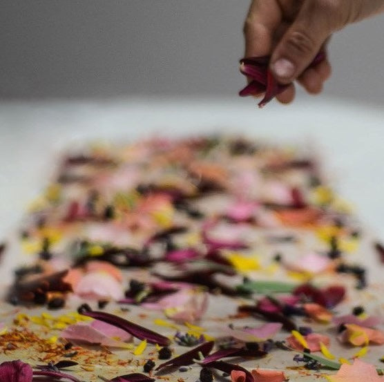 Claire Shovelton - studioEVIG